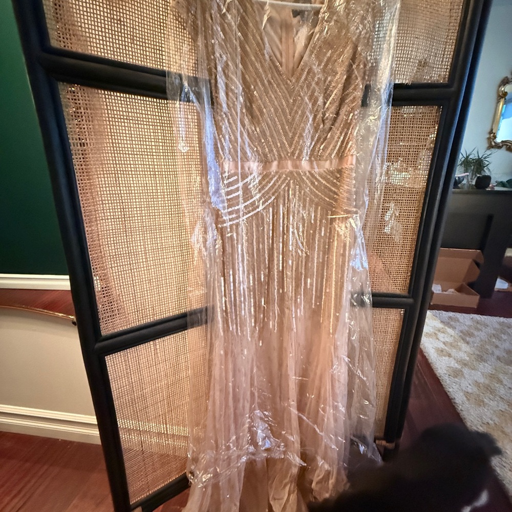 Adrianna Papell Blush Pink Sequin Dress